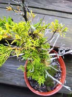 20210705_170937.jpg