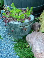tufa pot2.jpg