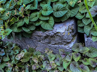 tufa pot5.jpg