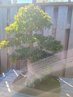 20210926_115159.jpg