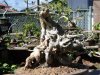DSC06449.jpg