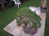 DSC06541.jpg