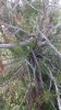20140125_151753.jpg