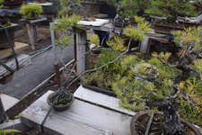 DSC_0412.JPG DSC_0412.JPG