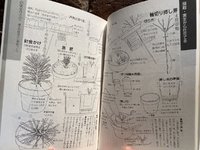Kyosuke Gun - Mini Bonsai 5.jpeg