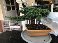 IMG_6282.jpeg
