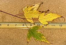 IMG_7113.jpg