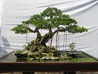 IMG_0097.jpg