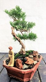 IMG_20211109_112342 (4).jpg