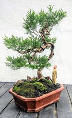 IMG_20211109_112303 (3).jpg