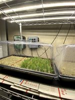 66B4CF1B-DAB2-44B0-9C81-D91A7587A4D6.jpeg 66B4CF1B-DAB2-44B0-9C81-D91A7587A4D6.jpeg