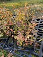 6C0B4678-55F2-41D4-877D-6F597A34206A.jpeg 6C0B4678-55F2-41D4-877D-6F597A34206A.jpeg