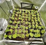 AB5FA922-8641-46CC-8175-48EF77C64891.jpeg AB5FA922-8641-46CC-8175-48EF77C64891.jpeg