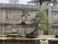 15A430E5-60D5-43E8-B17B-20D3C2B0AF8D.jpeg 15A430E5-60D5-43E8-B17B-20D3C2B0AF8D.jpeg