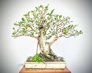 P1120024~2.JPG