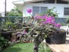DSC06686.jpg