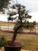 20140219_175403.jpeg