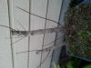 20140219_181818.jpg