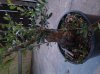 20140221_182306.jpg