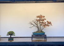 IMG_1862.jpeg