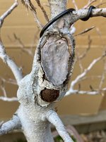 IMG_8683.jpg