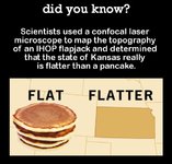 did-you-know-scientists-used-a-confocal-laser-microscope-to-15355092.jpg