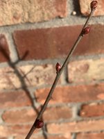 EACFF344-4B81-44AB-8609-C67E3AA1B700.jpeg