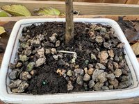 A4C49221-2473-4096-A6D0-21C95C9E2371.jpeg A4C49221-2473-4096-A6D0-21C95C9E2371.jpeg