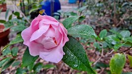 20220108_083922.jpg