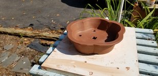 20180701_163025.jpg