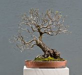 2021-06-TSC_3797ofx.jpg
