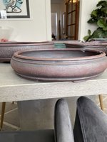 IMG_1806.jpg