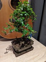 PXL_20211216_232652050.jpg
