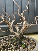 20220122_150933.jpg