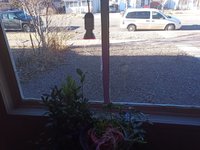 IMG_20220123_152346_806.jpg IMG_20220123_152346_806.jpg