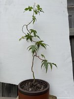 IMG_2360.JPG