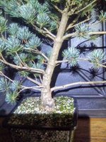 IMG_20220115_183801_826.jpg IMG_20220115_183801_826.jpg