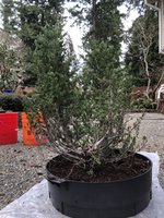 841B69B2-8F54-4E04-9019-A2F3404C77AA.jpeg 841B69B2-8F54-4E04-9019-A2F3404C77AA.jpeg