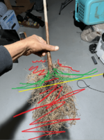 Screen Shot 2022-01-30 at 8.32.17 PM.png