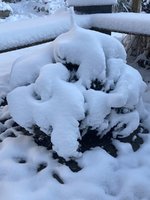 884870E4-197B-45D6-B8CD-8F81495C393D.jpeg