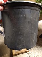 IMG_20220213_214159882.jpg