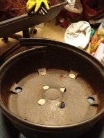 IMG_20220213_214726361.jpg
