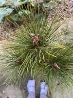 IMG_5464.JPG