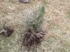 13205762035_7c6842ea8a_b.jpg