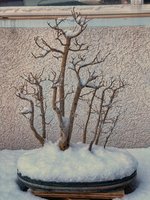 8CEF0DE1-0E44-463E-AD57-EC17E75B0AA4.jpeg 8CEF0DE1-0E44-463E-AD57-EC17E75B0AA4.jpeg