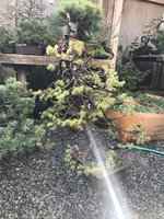 A033BF70-2D3A-4755-A221-AD1D8D87454D.jpeg