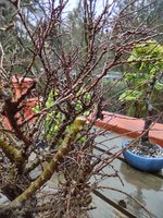 IMG_20220302_131159019_HDR.jpg