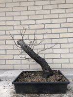 49996022-22B6-4978-83AD-1AF069F1FE94.jpeg 49996022-22B6-4978-83AD-1AF069F1FE94.jpeg