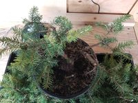 20220313_110056.jpg 20220313_110056.jpg