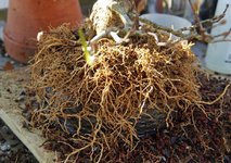 DSC05670-1.jpg